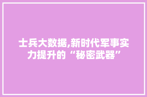 士兵大数据,新时代军事实力提升的“秘密武器” 市场营销范文