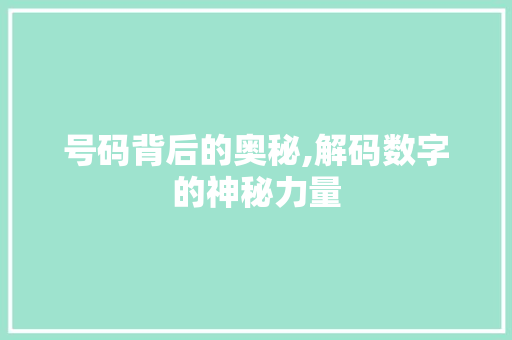 号码背后的奥秘,解码数字的神秘力量