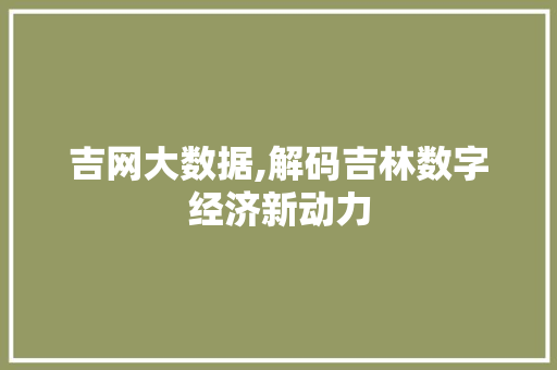 吉网大数据,解码吉林数字经济新动力