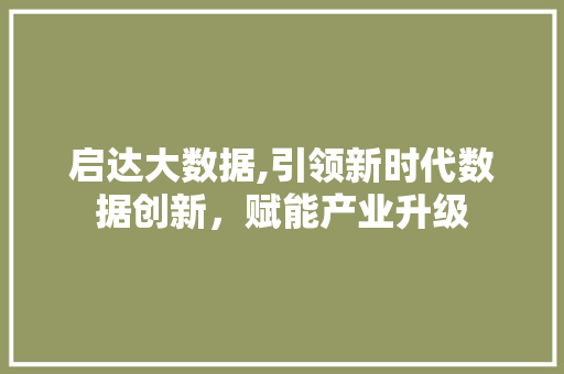 启达大数据,引领新时代数据创新，赋能产业升级 缓存Redis