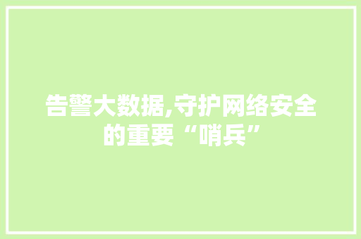 告警大数据,守护网络安全的重要“哨兵”