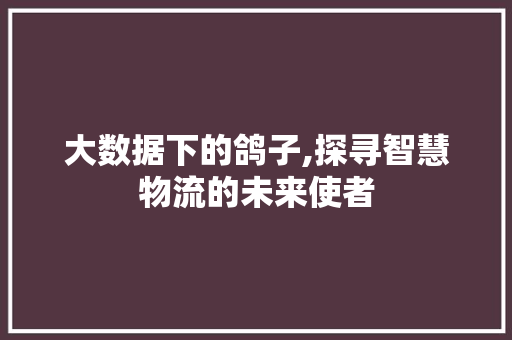 大数据下的鸽子,探寻智慧物流的未来使者 商务信函