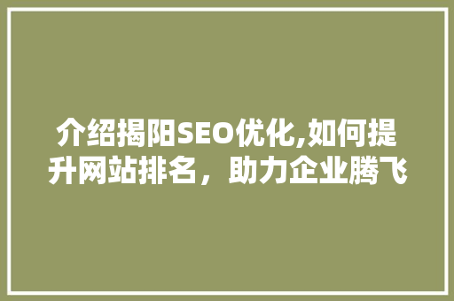 介绍揭阳SEO优化,如何提升网站排名，助力企业腾飞