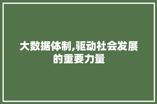 大数据体制,驱动社会发展的重要力量
