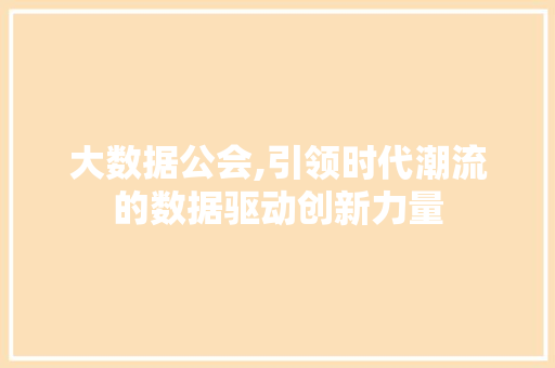 大数据公会,引领时代潮流的数据驱动创新力量