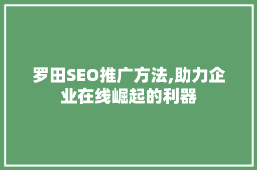 罗田SEO推广方法,助力企业在线崛起的利器