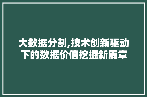 大数据分割,技术创新驱动下的数据价值挖掘新篇章