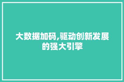 大数据加码,驱动创新发展的强大引擎 前端技术