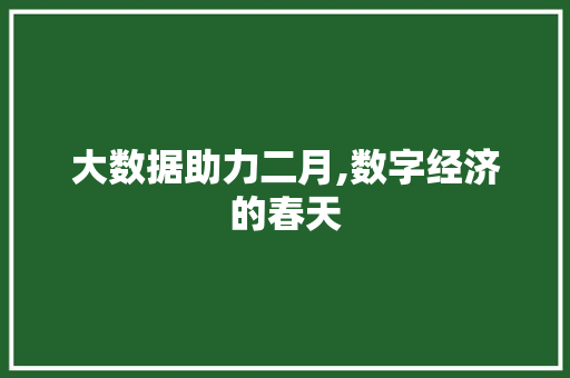 大数据助力二月,数字经济的春天 缓存Redis