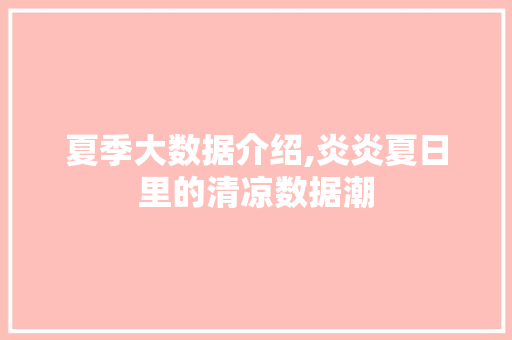 夏季大数据介绍,炎炎夏日里的清凉数据潮 后端技术