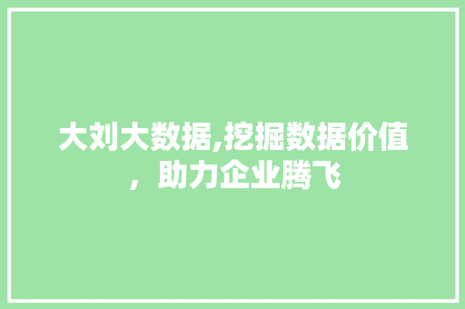 大刘大数据,挖掘数据价值，助力企业腾飞 前端技术