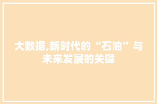 大数据,新时代的“石油”与未来发展的关键 缓存Redis