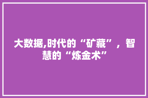 大数据,时代的“矿藏”，智慧的“炼金术” 市场营销范文