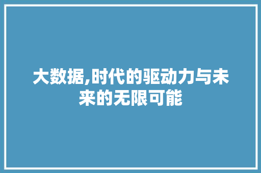 大数据,时代的驱动力与未来的无限可能 项目报告