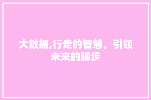 大数据,行走的智慧，引领未来的脚步 后端技术