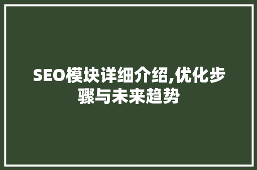 SEO模块详细介绍,优化步骤与未来趋势