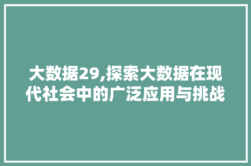 大数据29,探索大数据在现代社会中的广泛应用与挑战