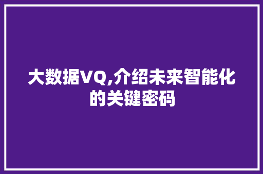 大数据VQ,介绍未来智能化的关键密码