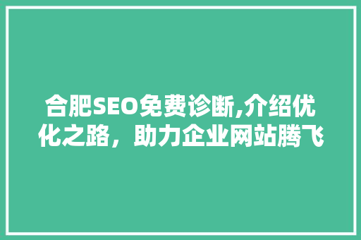 合肥SEO免费诊断,介绍优化之路，助力企业网站腾飞