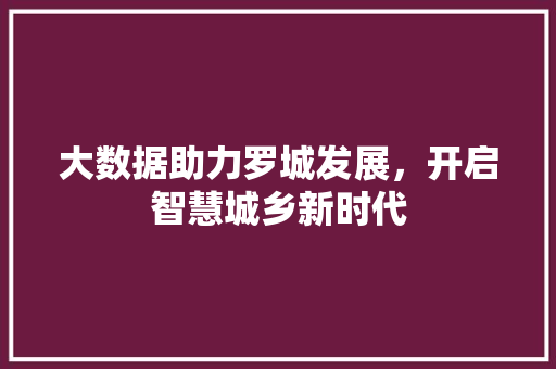 大数据助力罗城发展，开启智慧城乡新时代 网站建设