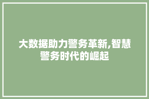 大数据助力警务革新,智慧警务时代的崛起