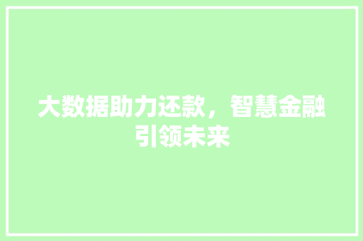 大数据助力还款，智慧金融引领未来 前端技术