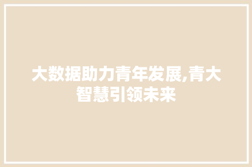 大数据助力青年发展,青大智慧引领未来 缓存Redis