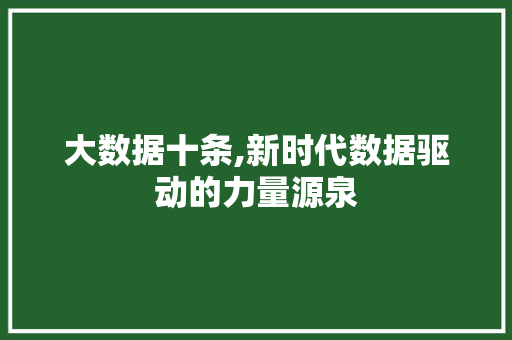 大数据十条,新时代数据驱动的力量源泉