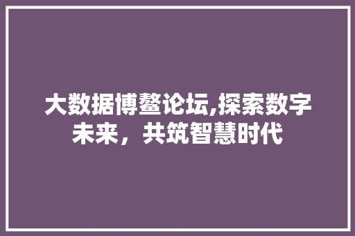 大数据博鳌论坛,探索数字未来，共筑智慧时代 后端技术