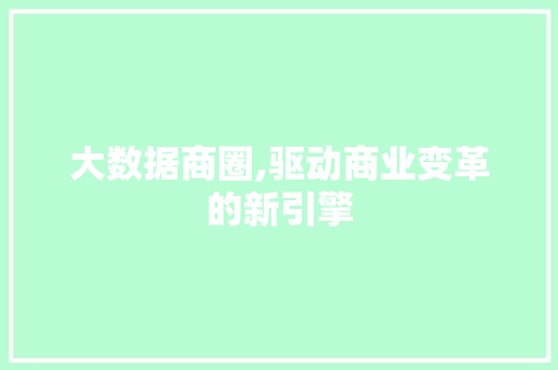 大数据商圈,驱动商业变革的新引擎 网站建设