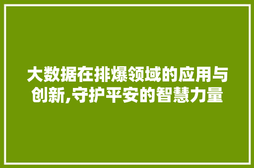 大数据在排爆领域的应用与创新,守护平安的智慧力量 商务信函