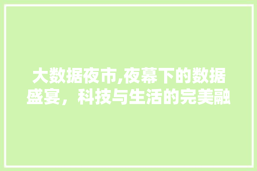 大数据夜市,夜幕下的数据盛宴，科技与生活的完美融合 响应式设计