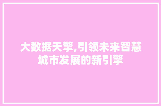 大数据天擎,引领未来智慧城市发展的新引擎 网站建设