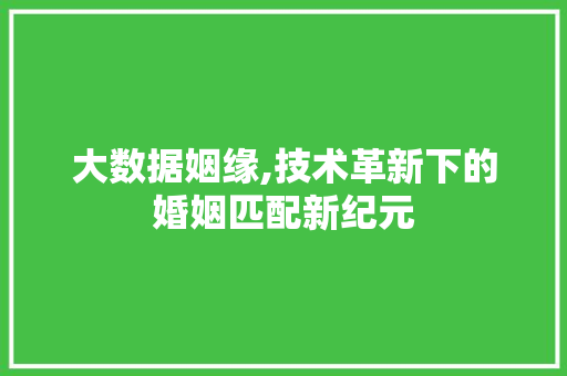 大数据姻缘,技术革新下的婚姻匹配新纪元 响应式设计
