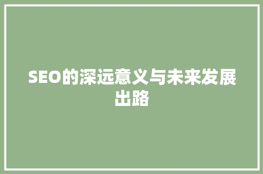 SEO的深远意义与未来发展出路