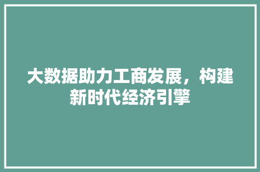 大数据助力工商发展，构建新时代经济引擎