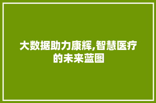 大数据助力康辉,智慧医疗的未来蓝图 市场营销范文