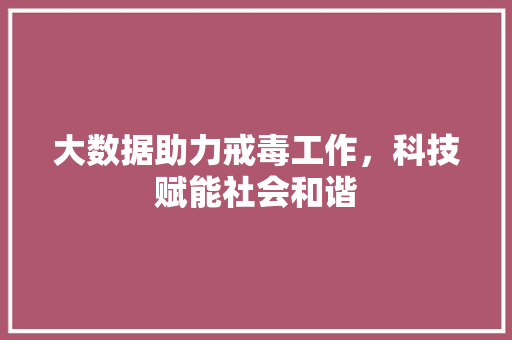 大数据助力戒毒工作，科技赋能社会和谐 响应式设计