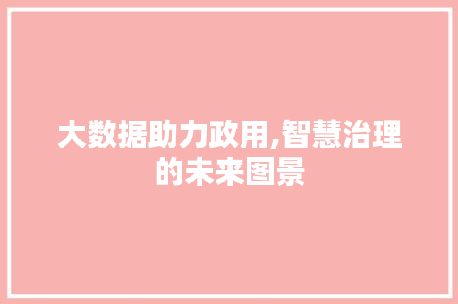 大数据助力政用,智慧治理的未来图景 项目报告