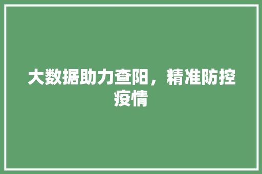 大数据助力查阳，精准防控疫情 市场营销范文