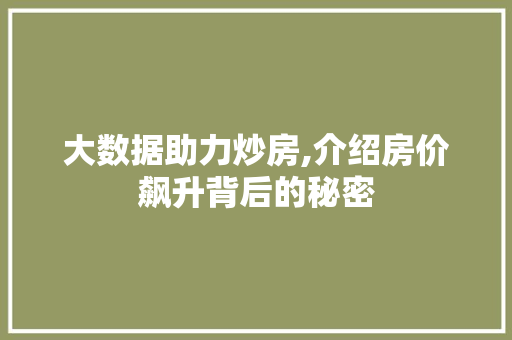 大数据助力炒房,介绍房价飙升背后的秘密