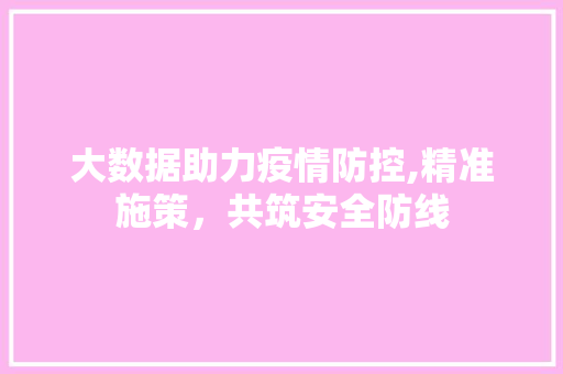 大数据助力疫情防控,精准施策，共筑安全防线 商务信函