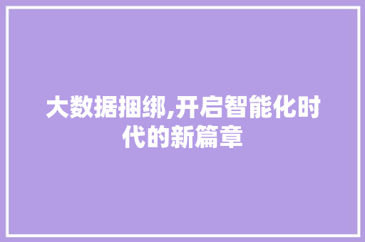 大数据捆绑,开启智能化时代的新篇章 前端技术