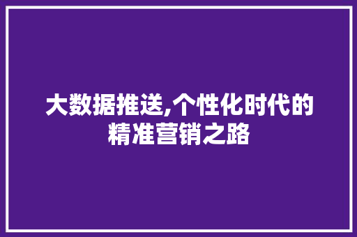 大数据推送,个性化时代的精准营销之路 后端技术