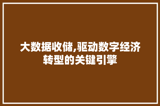 大数据收储,驱动数字经济转型的关键引擎 网站建设