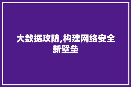 大数据攻防,构建网络安全新壁垒
