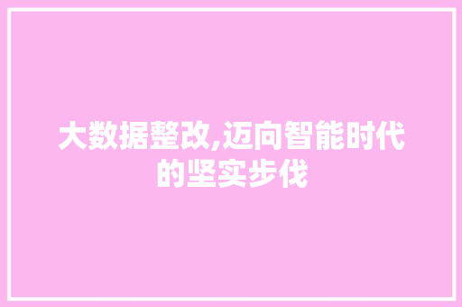 大数据整改,迈向智能时代的坚实步伐