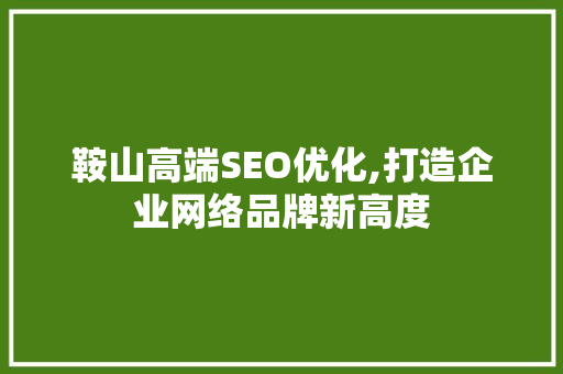 鞍山高端SEO优化,打造企业网络品牌新高度