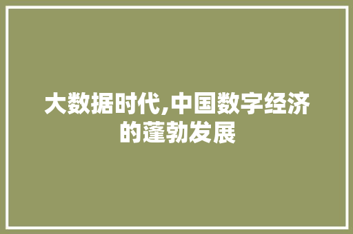 大数据时代,中国数字经济的蓬勃发展 响应式设计