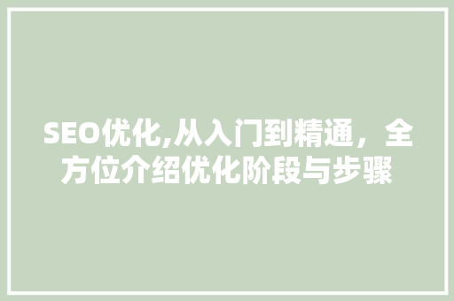 SEO优化,从入门到精通，全方位介绍优化阶段与步骤
